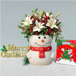 Christmas Snowman Plant Pots Indoor, Resin 6 Inch