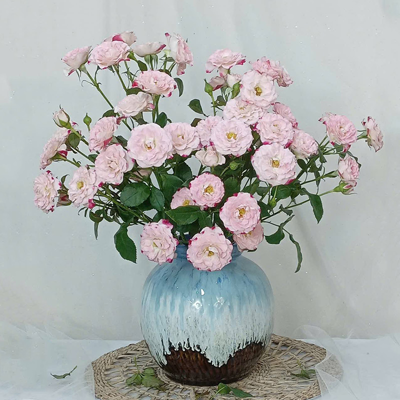 Round ceramic vase for flower decoration