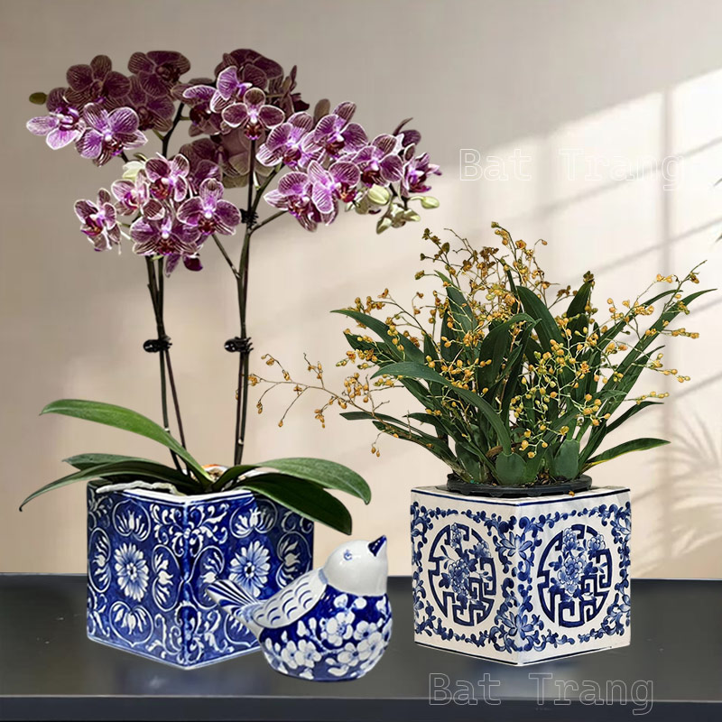 Blue White Square Ceramic Vase for Home Decor And Flowers