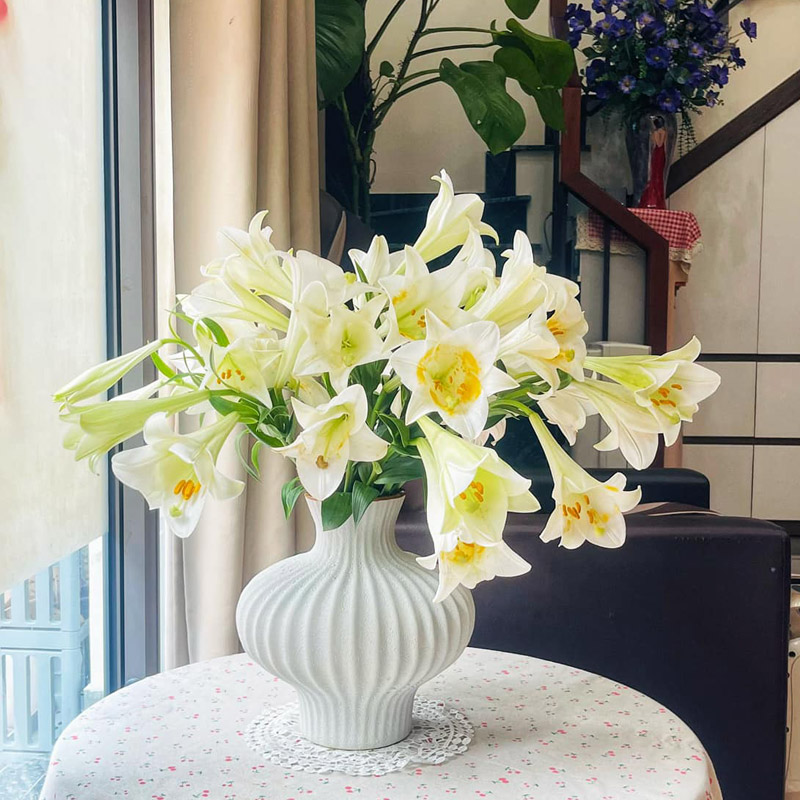 Home Decor Ideas with Modern White Flower Vases