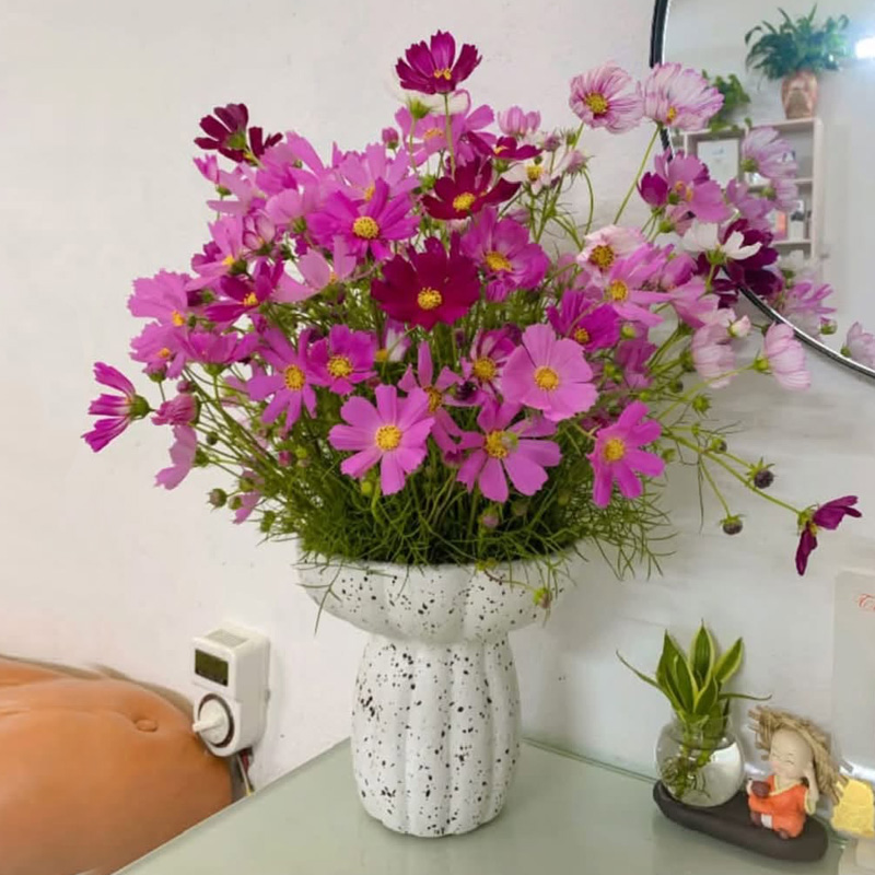 Pedestal vase with pink cosmos flowers decorating a home table